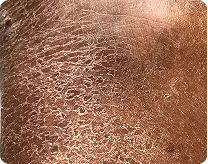 scaly skin