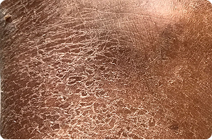scaly skin